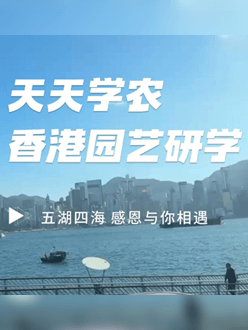 与香港园艺学会联合举办香港园艺研学，专业园境师带队讲解。